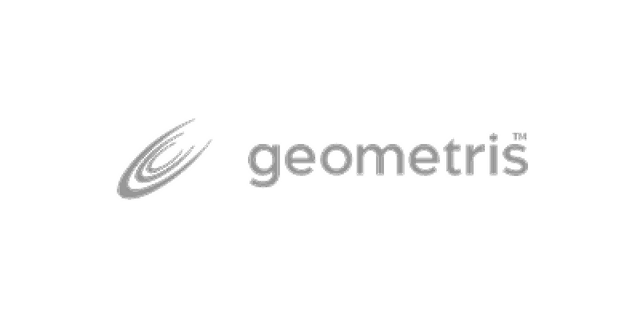Geometris logo